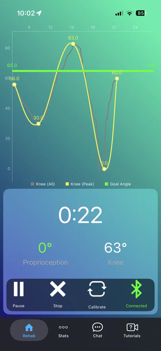 Live rehab session screen